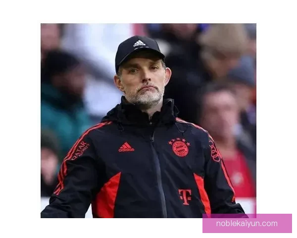 图赫尔球队执行标准