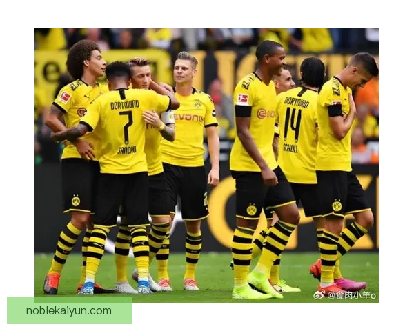多特蒙德近期数据分析显示球队整体表现稳健，正积极争夺欧冠资格。